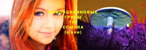 мяу мяу мука Алексеевка