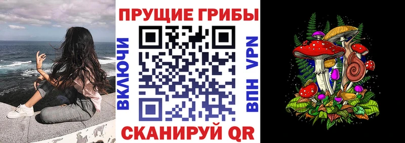 Псилоцибиновые грибы прущие грибы  мега ссылка  Приморск 