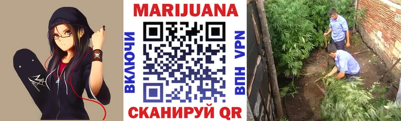 где купить наркоту  Приморск  Конопля тримм 